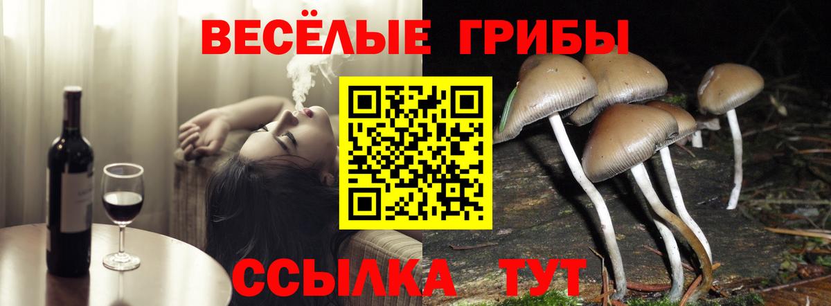 Псилоцибиновые грибы мухоморы Тара